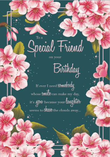 Picture of SPECIAL FRIEND BIRTHDAY CARD